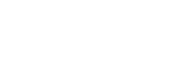 Wholesale & B2B